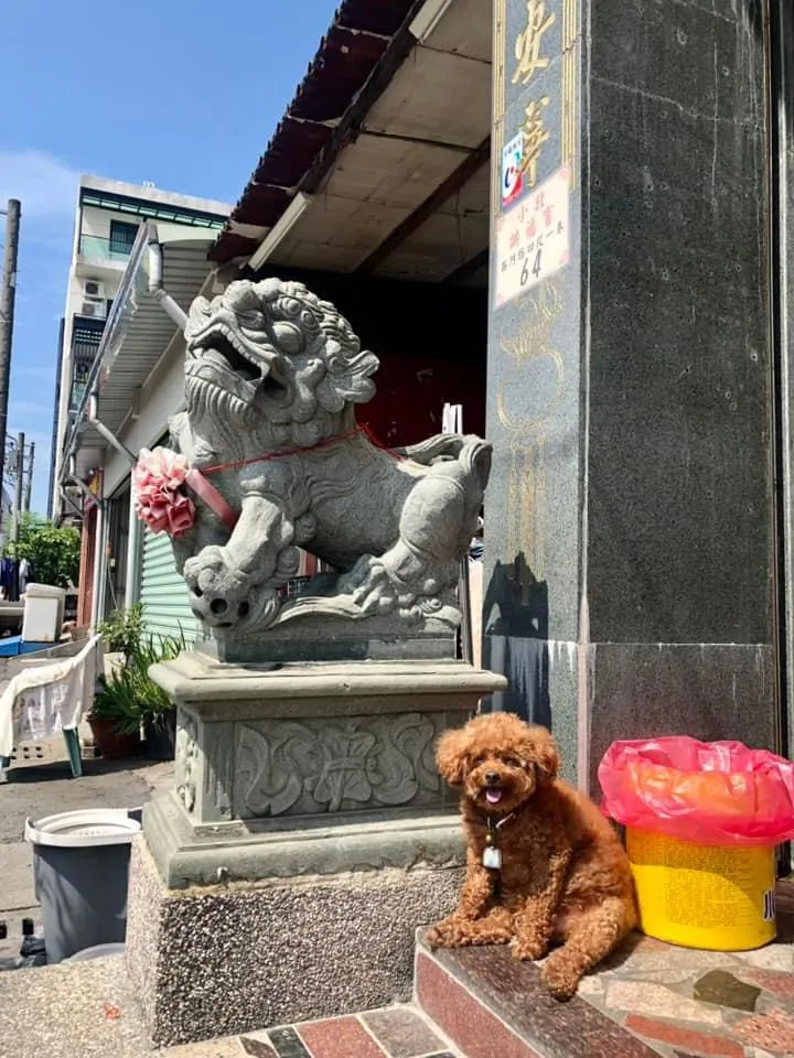 阿賓顧廟有功，升天後成了虎爺部將。陳益成提供