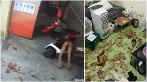 台南惡狼欲性侵女屋主「遭刺下體滿地血」 警查出真相讓人傻眼