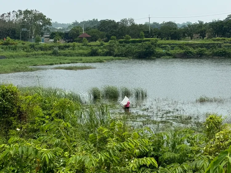 縣府降低水位，以利搜捕。縣府提供