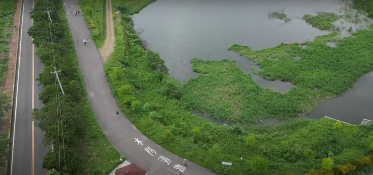 中埔鄉公館滯洪池疑似有鱷魚出沒。縣府提供