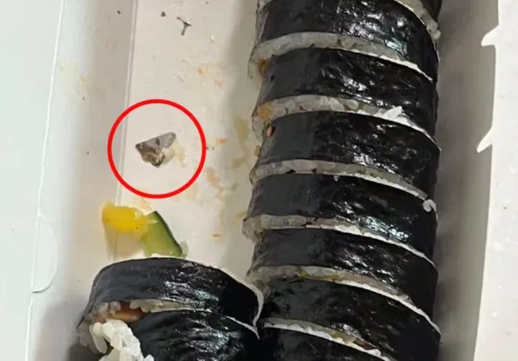 小刀片在吐出在紫菜包飯旁。翻攝自韓網