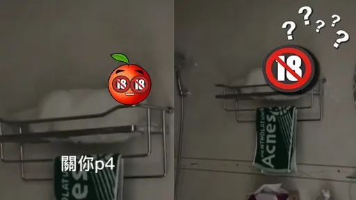 奴才別煩我!貓主人在浴室休息超舒適