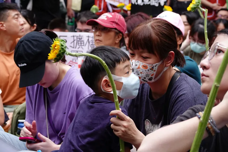 民眾手持太陽花在立法院外集結。莊宗達攝