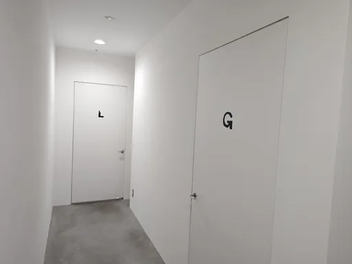 銀座廁所標示「L」、「G」　大叔看不懂闖女廁後暴怒