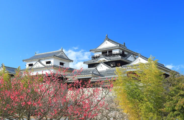 松山城是初次來訪愛媛縣的推薦經典景點，樂天旅遊也首推下榻在於縣內的「松山新豪溫泉飯店」。業者提供