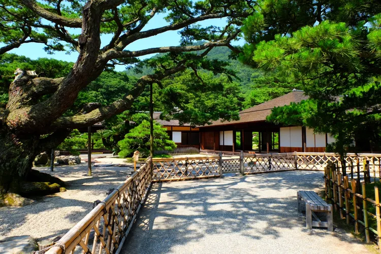 高松市還有一個日式庭園「栗林公園」值得一遊，更榮獲 3 星等級最高評價，也被指定為「國之特別名勝」。業者提供