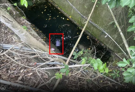 台南阿伯內急找地方小解卻消失20分鐘　友人赫見墜溝成浮屍