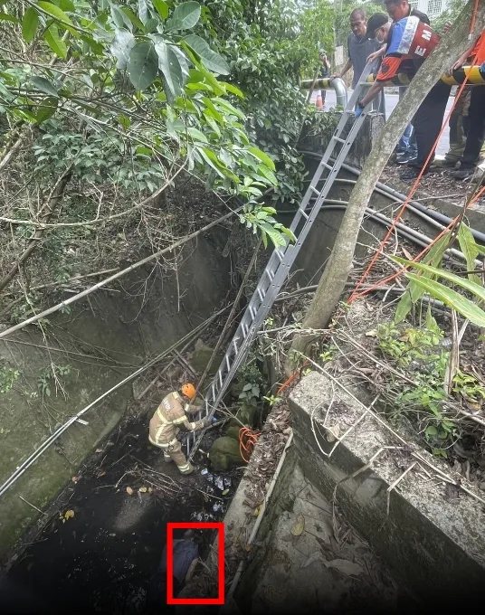 警消獲報搭梯救人。讀者提供