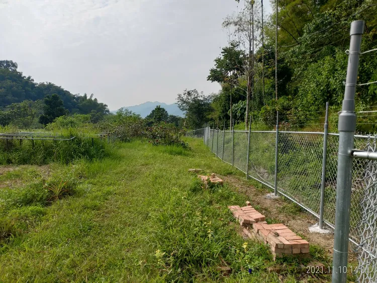 電圍網有效防制獼猴危害農作物。農業局提供