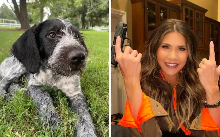 （左）諾姆（Kristi Noem）的狗，名叫「蟋蟀」。翻攝　The Telegraph