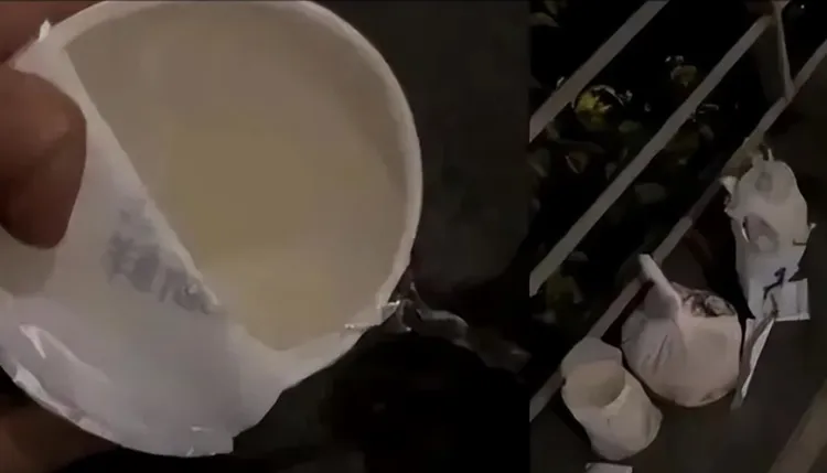 網友發現，送給胖貓的奶茶杯裡，裝的竟是白開水。翻攝自陸網紅「瞎七八談」的影片
