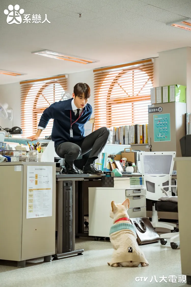 車銀憂劇中怕毛小孩，為了演好躲狗橋段連滾帶爬，拍到屁股瘀青。八大電視提供