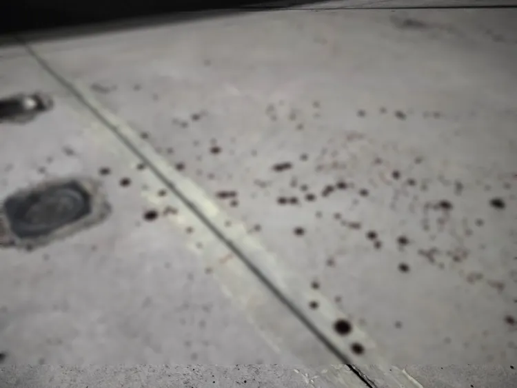 地板血跡斑斑。讀者提供