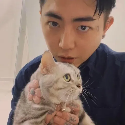 謝和弦被拱表態「祖國統一」 愛逮丸臉刺台灣:賺台幣就很夠用