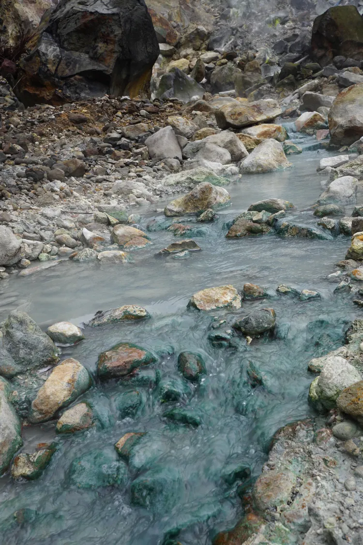 陽明山焿子坪樣區的溫泉水中，可見成群的溫泉紅藻。東海大學生命科學系教授劉少倫提供