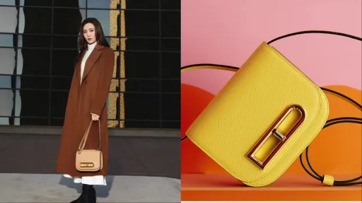 劉詩詩也愛的Delvaux Lingot端迷你版　不僅模樣太Q還能三用
