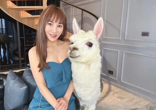 10億身家王宥忻出事了！600萬特斯拉當羊駝專車　車體炸裂慘況曝光