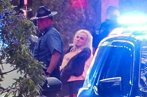 美國麻州男子持刀連闖戲院、速食店亂砍 6人受傷