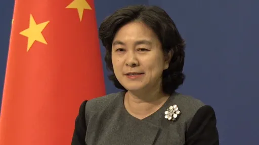 中國嗆聲王!女戰狼華春瑩升官 54歲出任中國外交部副部長