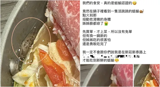 超肥大蛞蝓新莊火鍋店見客 一下鍋看牠鍋邊不斷蠕動!