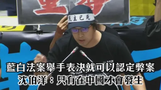 藍白法案舉手表決就可以認定弊案 沈伯洋:只有在中國才會發生