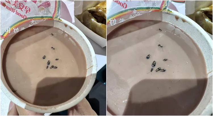 奶茶打開都是蟑螂。翻攝自爆怨2公社