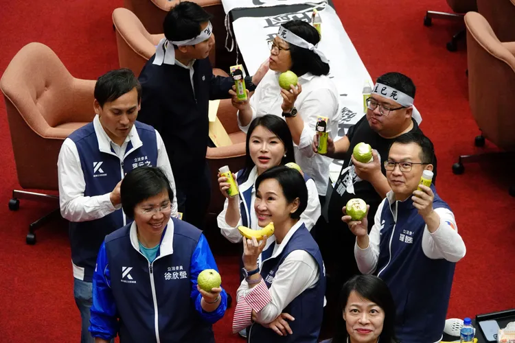 國民黨立委們收到梅粉後也從善如流的沾芭樂吃。莊宗達攝