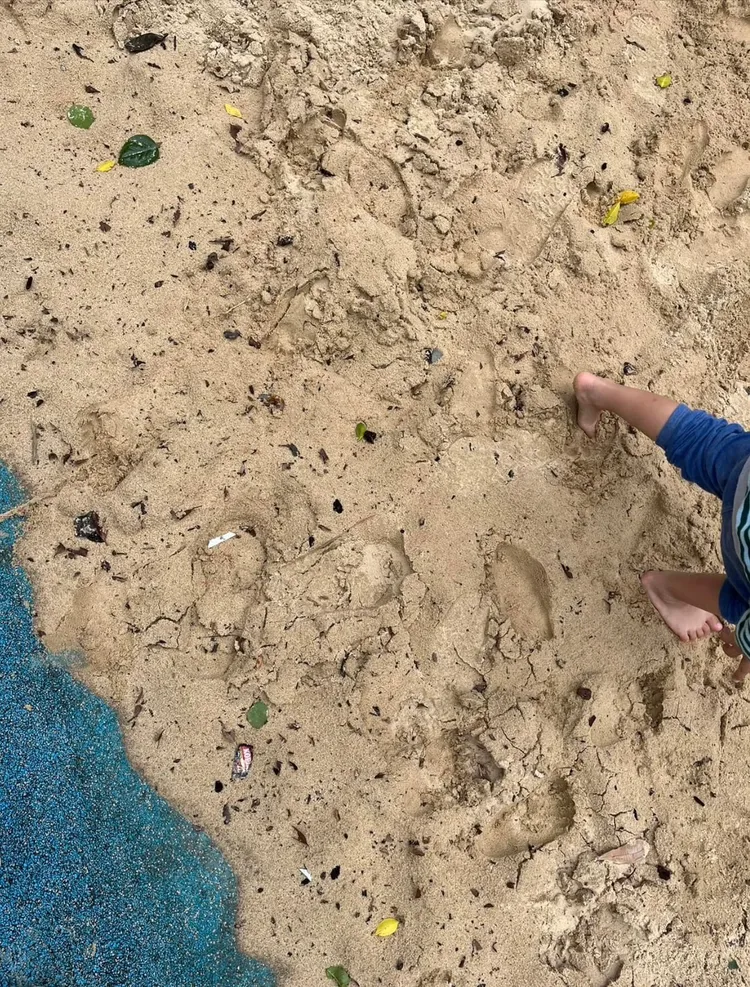 狗屎混入公園沙坑，家長上網求助。翻攝畫面