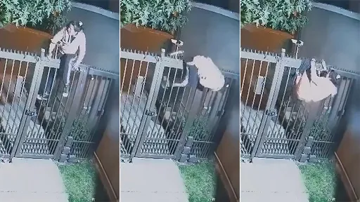 女賊潛豪宅「被大門脫褲褲」　空手而逃還遭po網半裸糗狀