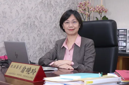 「不滿就去提釋憲!」 翁曉玲辣嗆民進黨團:根本不了解國會改革法案