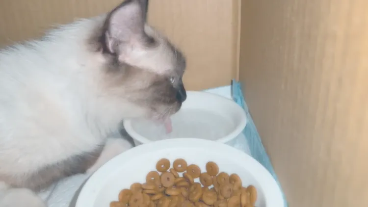 五寶媽喝水補充一下體力♥