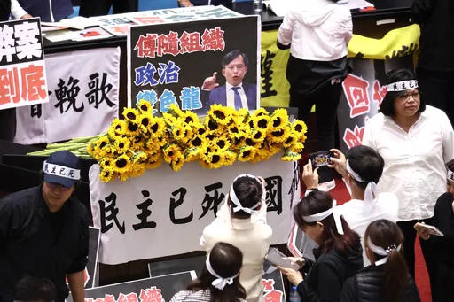 漏網鏡頭｜院會抗爭16hr！藍委補眠　民進黨疊太陽花「私設靈堂」