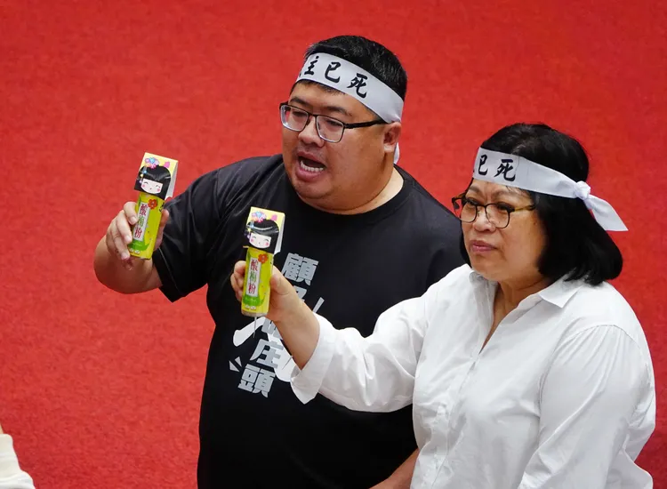 民進黨「嘉義幫」立委蔡易餘、王美惠現場發送梅粉，113席立委都有份。莊宗達攝