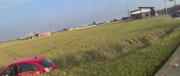 轎車犁出一大條農路。讀者提供