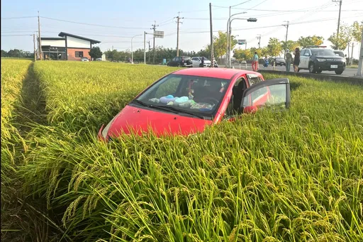 轿车急闪转弯来车!失控「犁田」7米长 农民这样做好大心