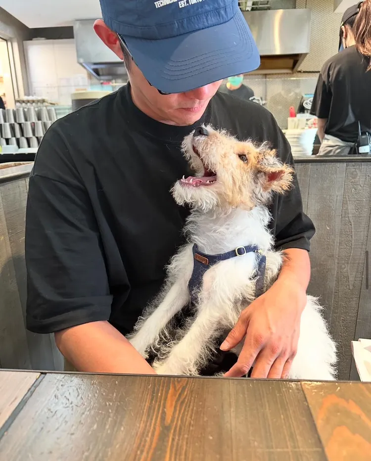 Cooper是王柏傑和女友的新寵。翻攝謝欣穎IG