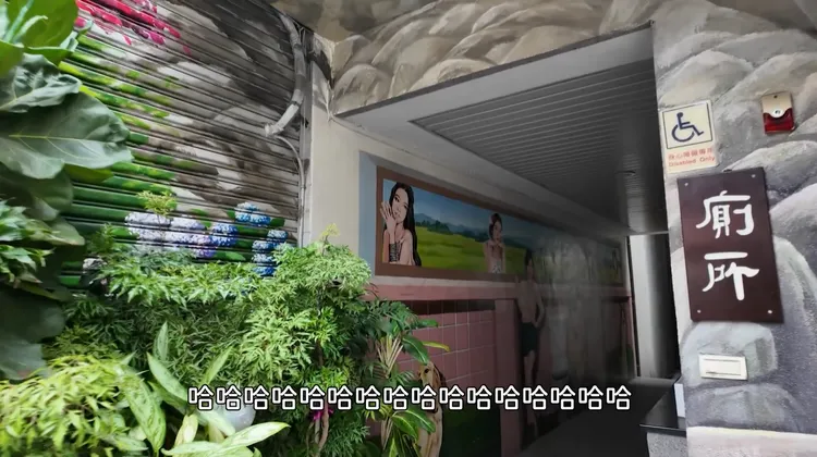 彰化忠權社區公廁牆上佈滿手繪圖，吸引民眾打卡朝聖。翻攝《普通女子孫女》YouTube