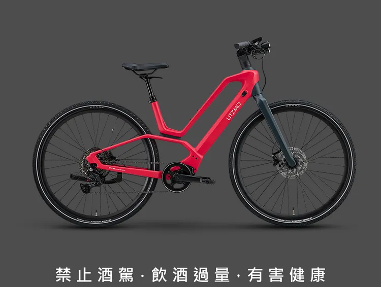 LITZMO EM-05 E-Bike桃紅色，國內定價75,000元。業者提供