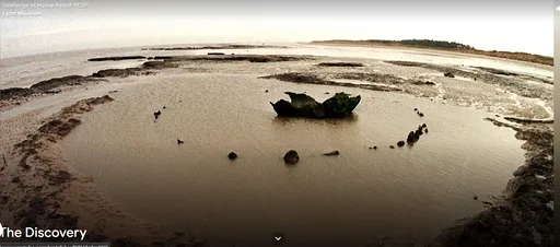 揭密4千年神秘海巨木陣　專家指祖先是「被逼的」