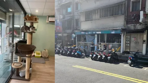 死前目擊老闆遛狗!她3月就幫寵物店調解 鄰居不簽「市府給不出解法」