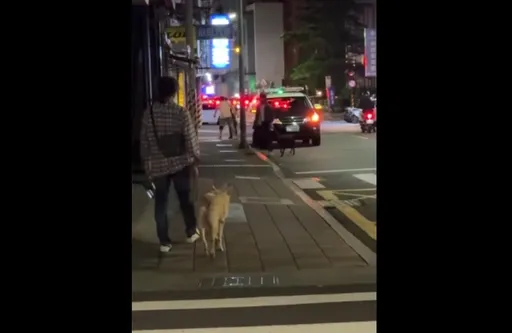 北市開寵物店要這3戶同意!2樓屋主疑反悔 讓他上街失控大吼還走絕路