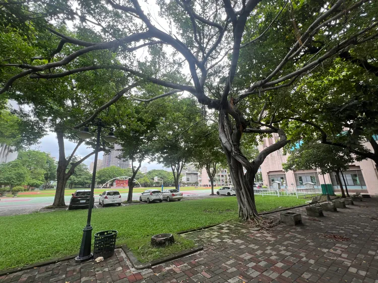 「巴黎河左岸」面市中路戶型可遠眺雄女校園，具備永久棟距。葉家銘攝