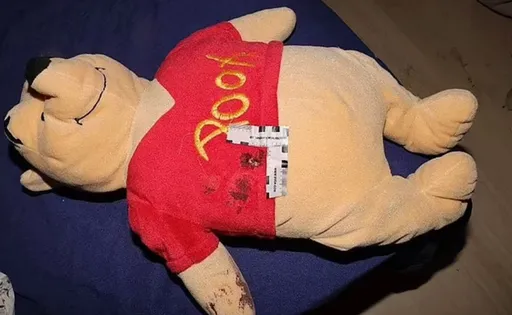 滅門血案小熊維尼娃娃為小女童擋槍 奇蹟式生還現場留牠遺體照曝光