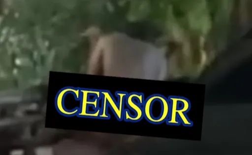 越來越多人「當街活春宮」　公園長椅交疊全被拍下遭逮捕