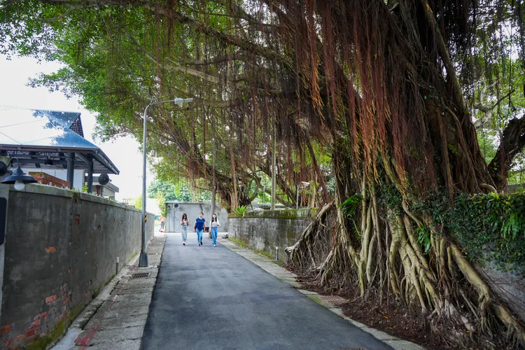 將軍巷周邊，最多曾住過10位高階將級軍官。田欣雲攝