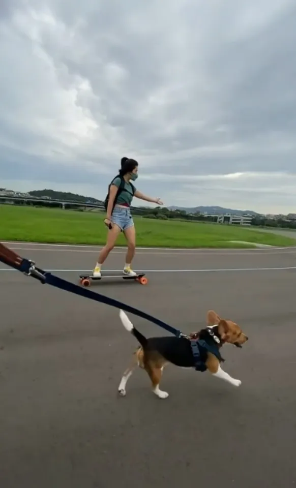 一起向前衝~衝~衝。IG @beagle_de_oka 提供