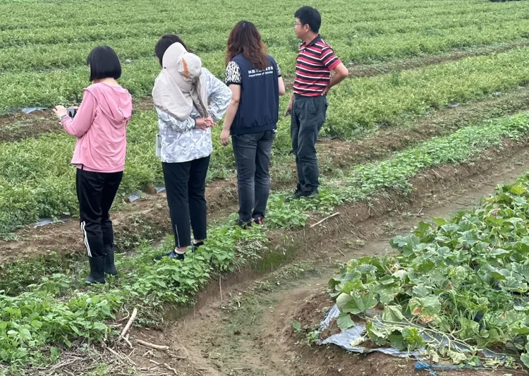 農業局派員會勘受損瓜田。農業局提供