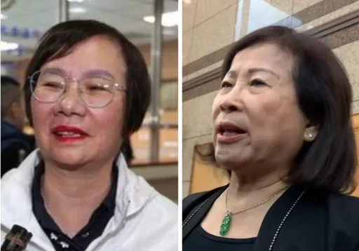 誣告羅淑蕾A賑災款650萬　國民黨中常委判囚4月　