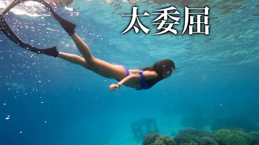 台女飛帛琉潛水遭海關要求脫光「檢查下體」 受辱淚灑機場