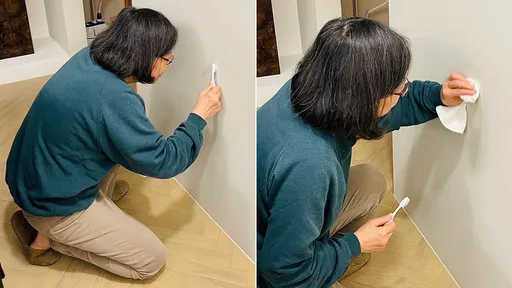 蕭美琴曝她退休想做室內設計　蔡英文「跪地牙刷刷牆」這樣回